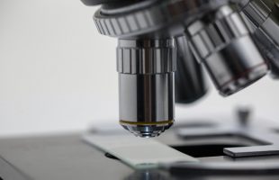 Biología y Biomedicina